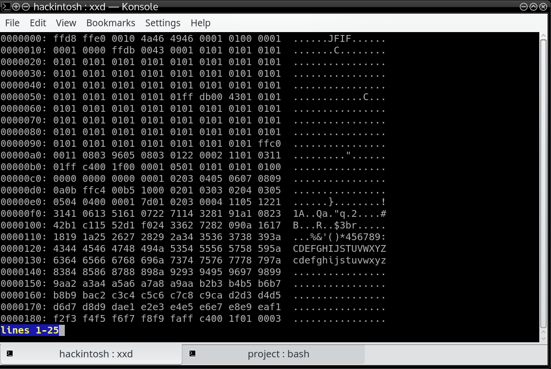 Output hexadecimal bytes of a jpeg Image file.